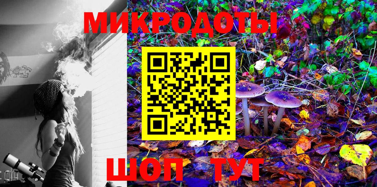 Котельники  Псилоцибиновые грибы Cubensis  что такое наркотик  Вход с VPN 